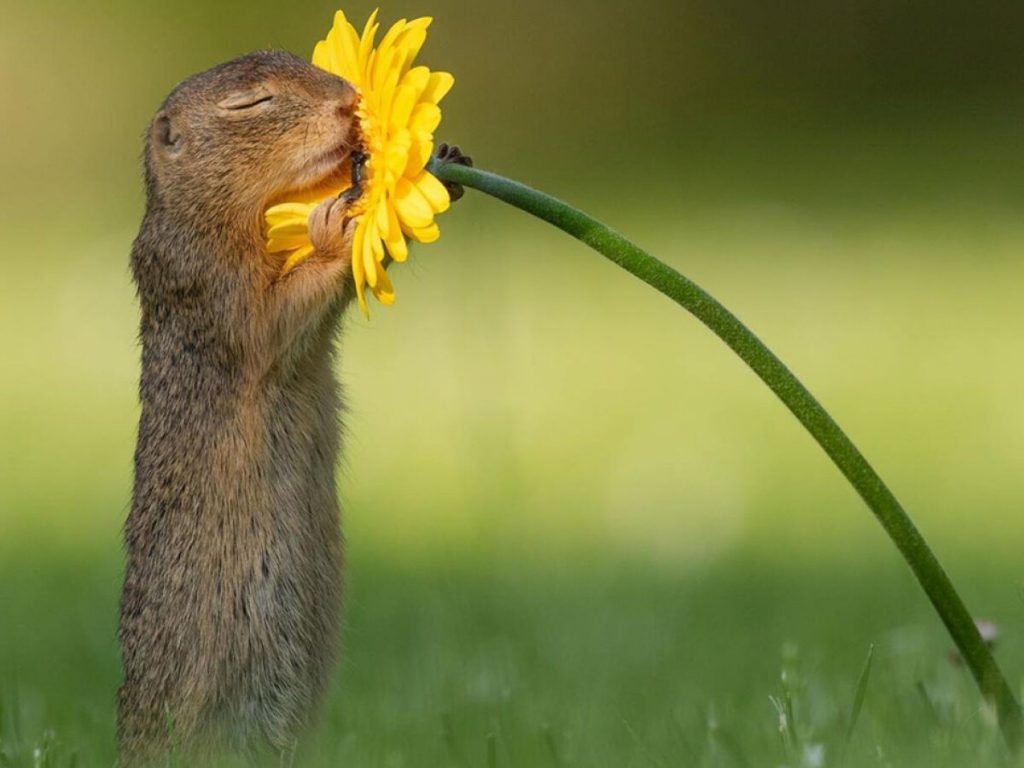 Saúde mental acessível, universal e humanizada