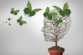 Logoterapia: Encontrando Sentido Mesmo nas Situações Difíceis